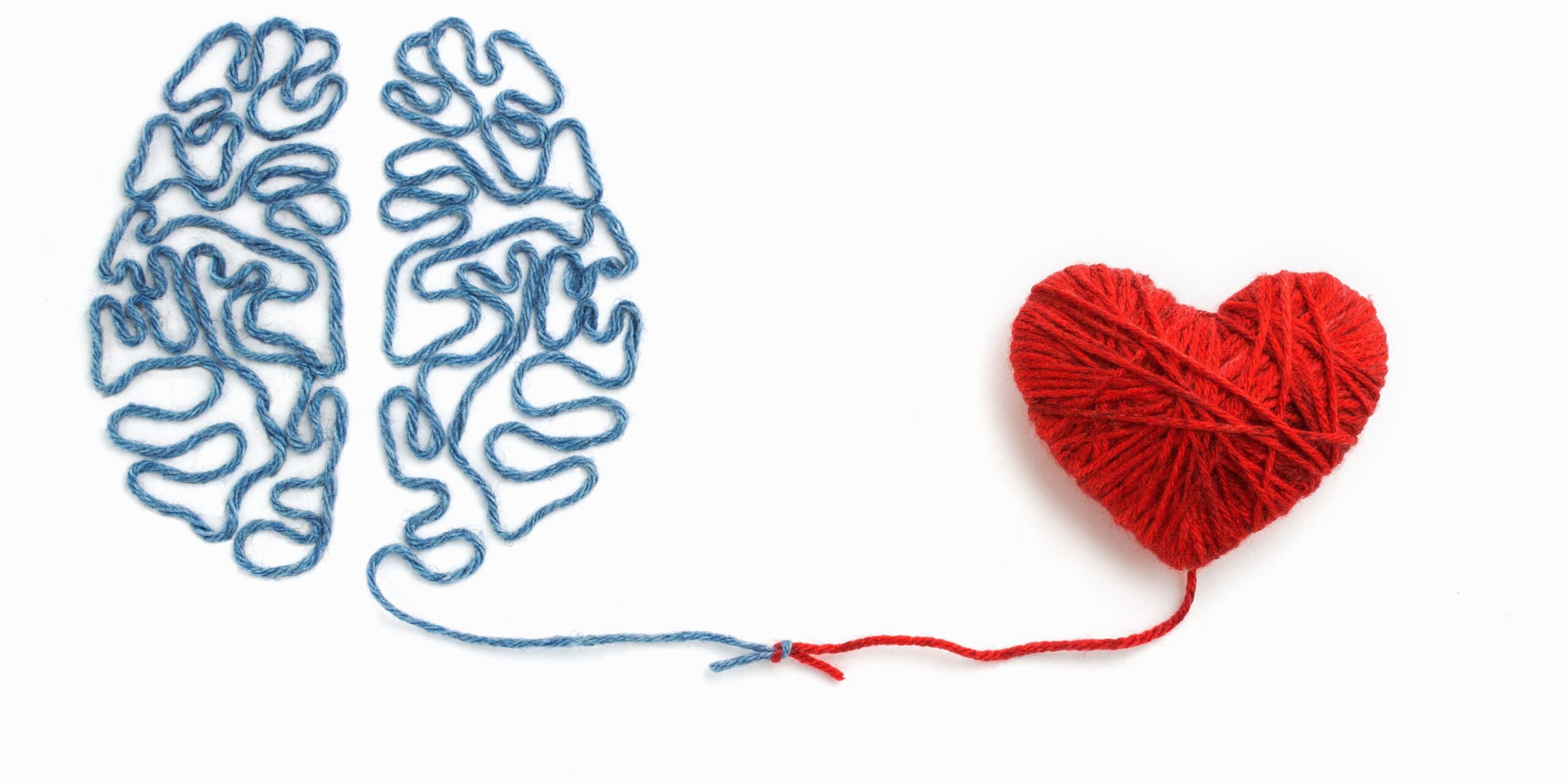 Red heart and blue brain made of yarn. Knotted in middle